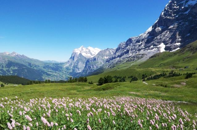 スイスの風景